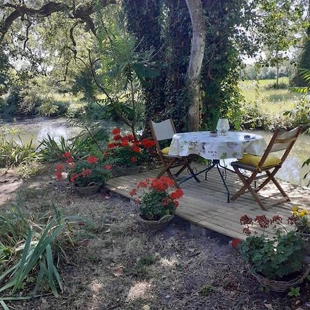 Gite " Jardin Peyrona" Visite Zoo Beauval Et Chateaux De Loire Beaulieu-lès-Loches Exteriör bild