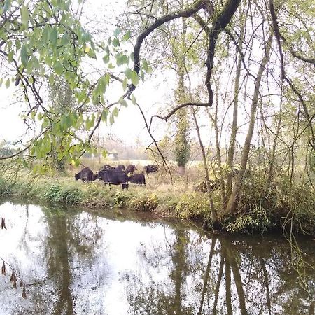 Gite " Jardin Peyrona" Visite Zoo Beauval Et Chateaux De Loire Beaulieu-lès-Loches Exteriör bild