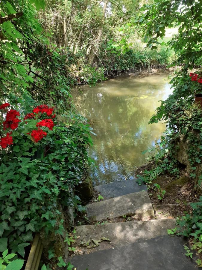 Gite " Jardin Peyrona" Visite Zoo Beauval Et Chateaux De Loire Beaulieu-lès-Loches Exteriör bild