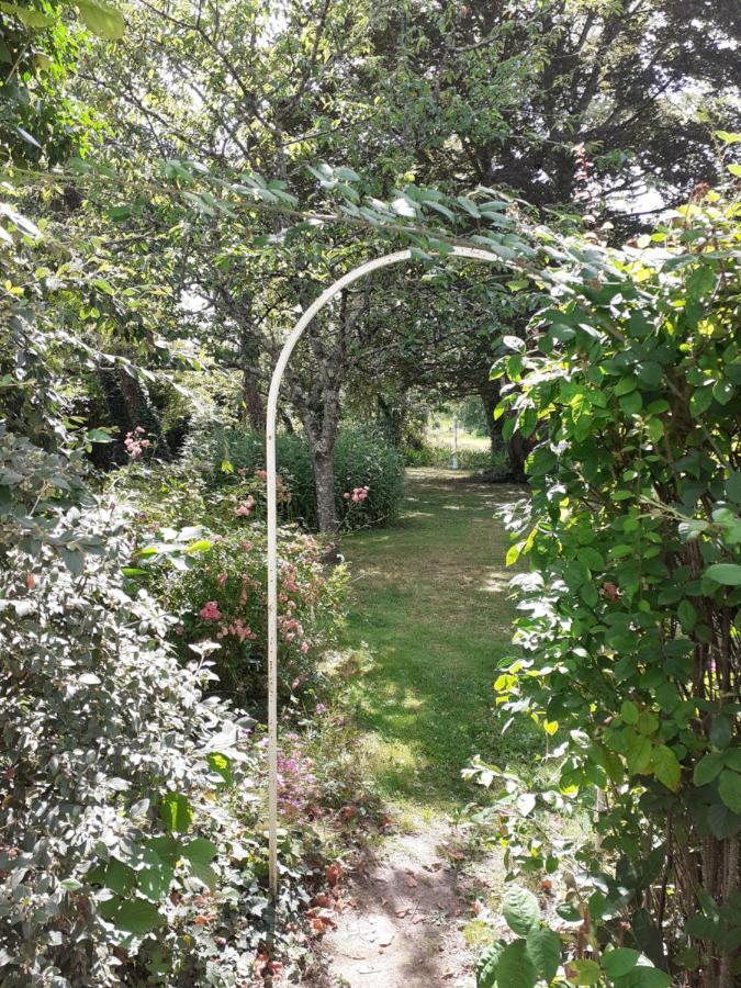 Gite " Jardin Peyrona" Visite Zoo Beauval Et Chateaux De Loire Beaulieu-lès-Loches Exteriör bild