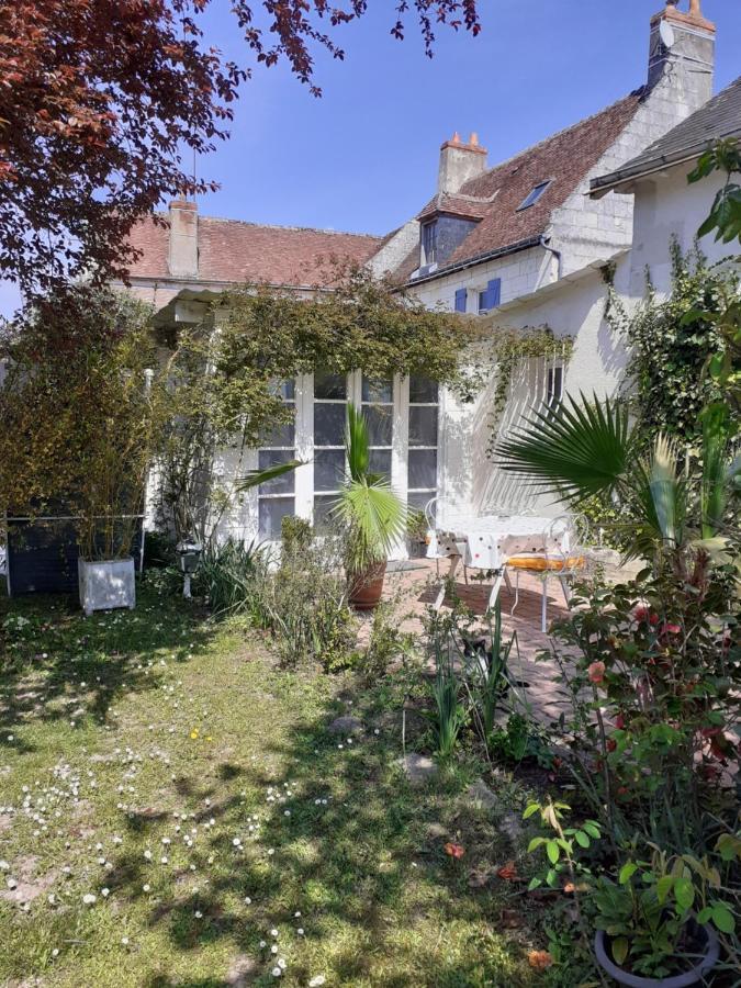 Gite " Jardin Peyrona" Visite Zoo Beauval Et Chateaux De Loire Beaulieu-lès-Loches Exteriör bild