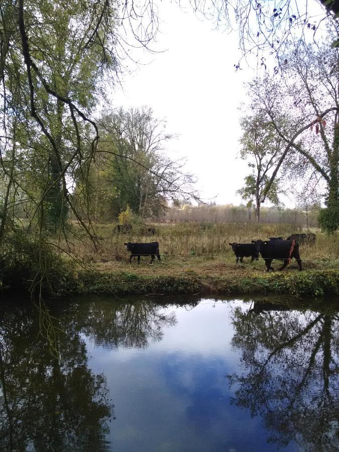 Gite " Jardin Peyrona" Visite Zoo Beauval Et Chateaux De Loire Beaulieu-lès-Loches Exteriör bild